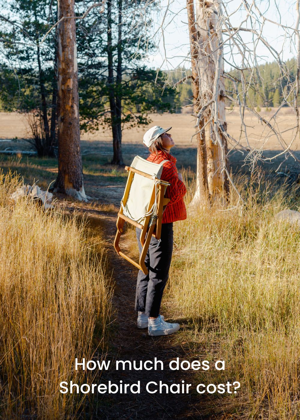 How Much Does a Shorebird Chair Cost?